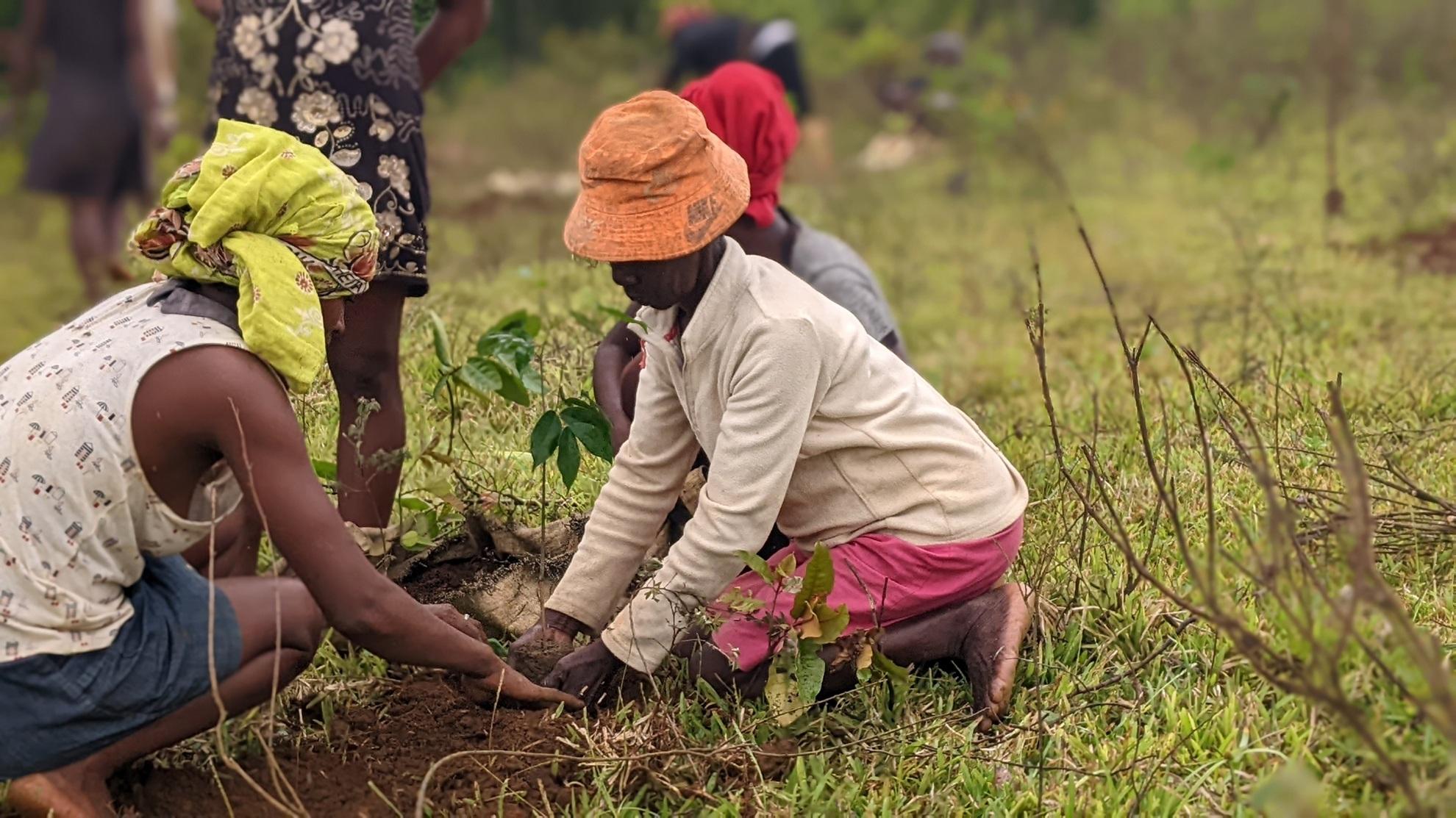 SOR4D Research Conference 2026 Picture for News